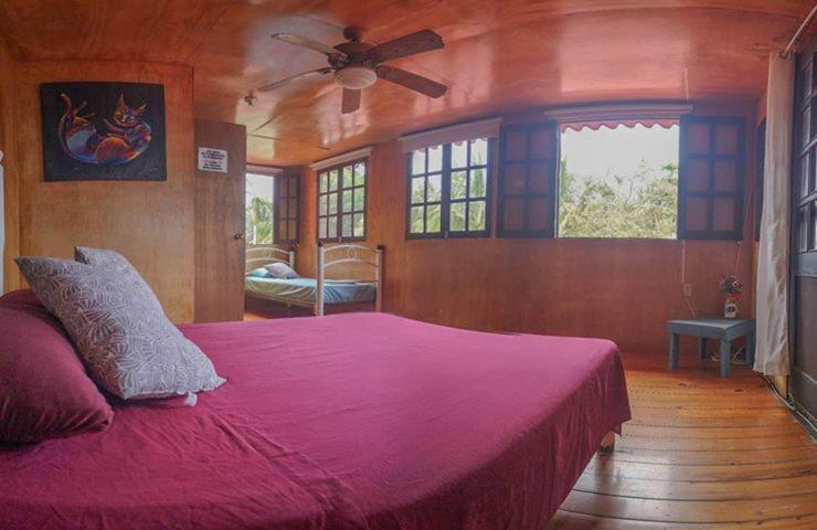Green Monkey Hostel Bacalar Exterior foto